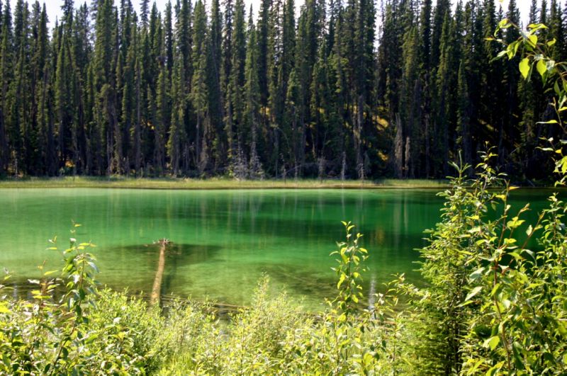 062104 Hyder Cassiar to Skagway Ak (10100)